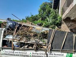Retail Junk Removal in Terrell, TX